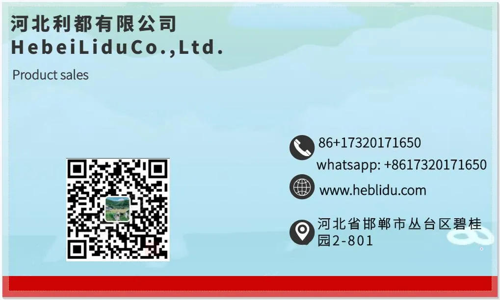 Baby Walker Kids Bicycle No Pedal Children Balance Bike with Bearings Kids Baby Bike Children Bike Balance Bicycle China Kids Bikes 2016 New Model