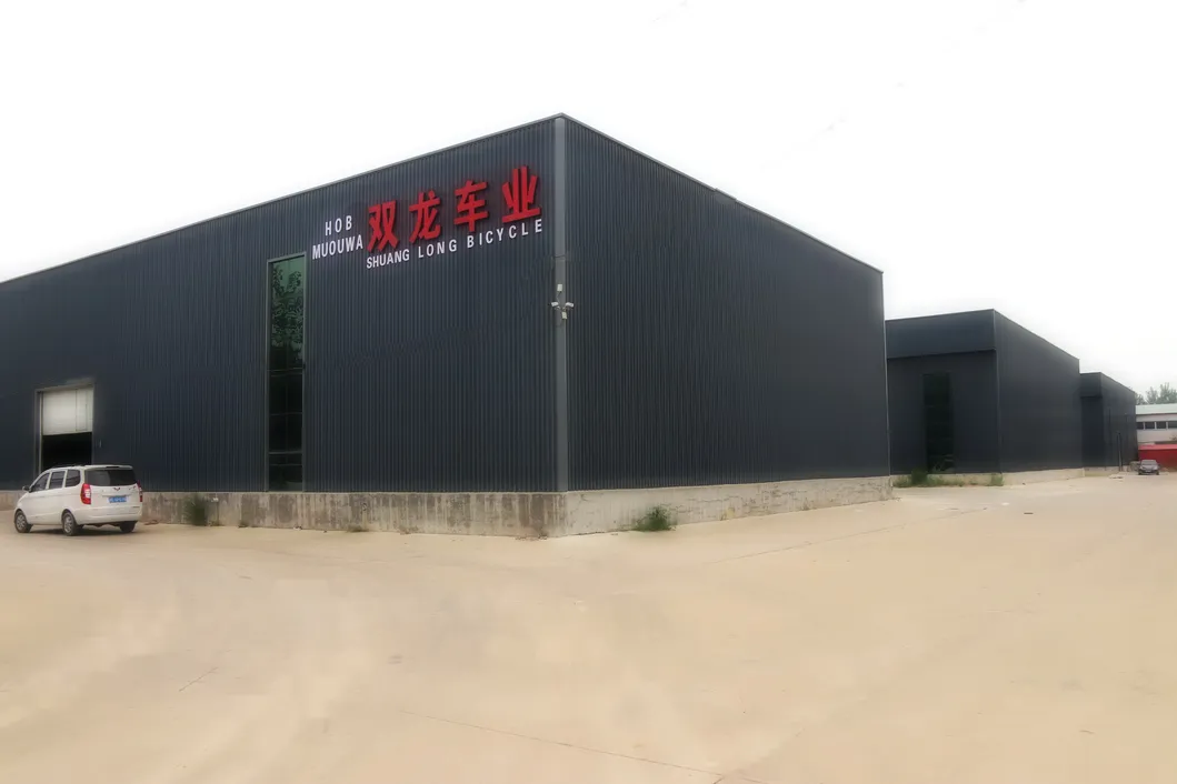 Boys Girls Bike Children Bicycle with Basket Bottle Cage (SL-TC-508)