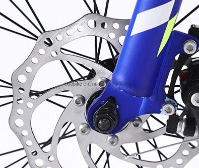 Children Mountain Bicycle, Kids Bicycle, 18" 20" MTB Kid′ S Mountain Bike/Children Bicycle