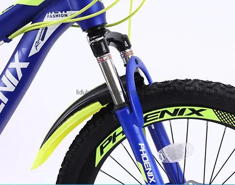 Children Mountain Bicycle, Kids Bicycle, 18