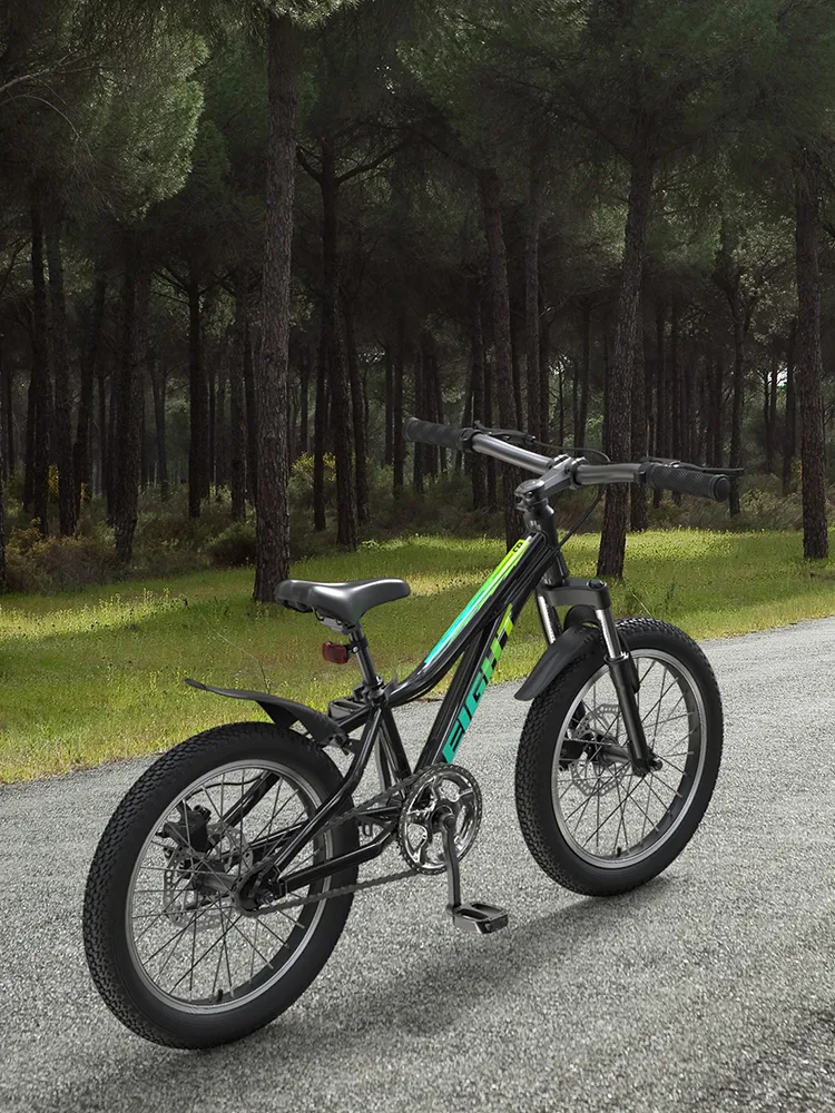 Children′ S Bicycle 16/20 Inch Boy Bicycle 3-10 Years Old, Big Boy and Girl, Lightweight and Ultra-Light New Stunt Bike