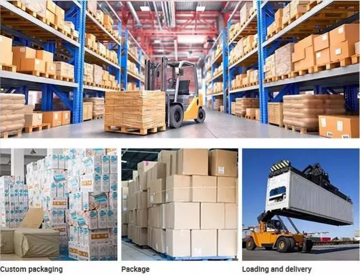 Children Pull Type Water Pistol Summer Beach Water Toy Cartoon Animal Elephant Hippo Water Cannon