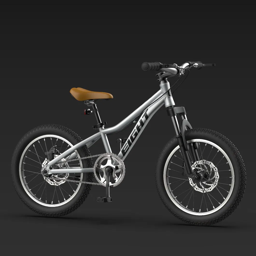 Children′s Bicycle 16/20 Inch Boy Bicycle 3-10 Years Old, Big Boy and Girl, Lightweight and Ultra-Light New Stunt Bike