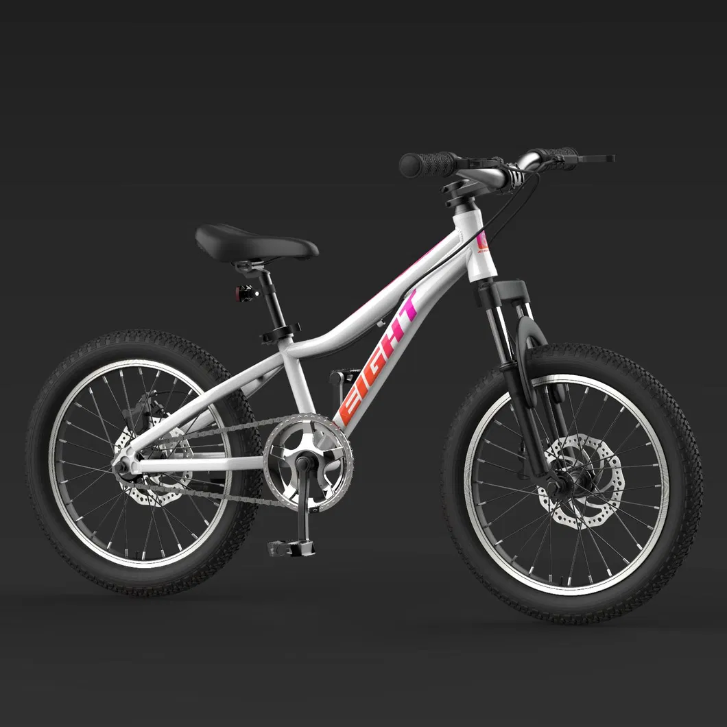 Children′s Bicycle 16/20 Inch Boy Bicycle 3-10 Years Old, Big Boy and Girl, Lightweight and Ultra-Light New Stunt Bike