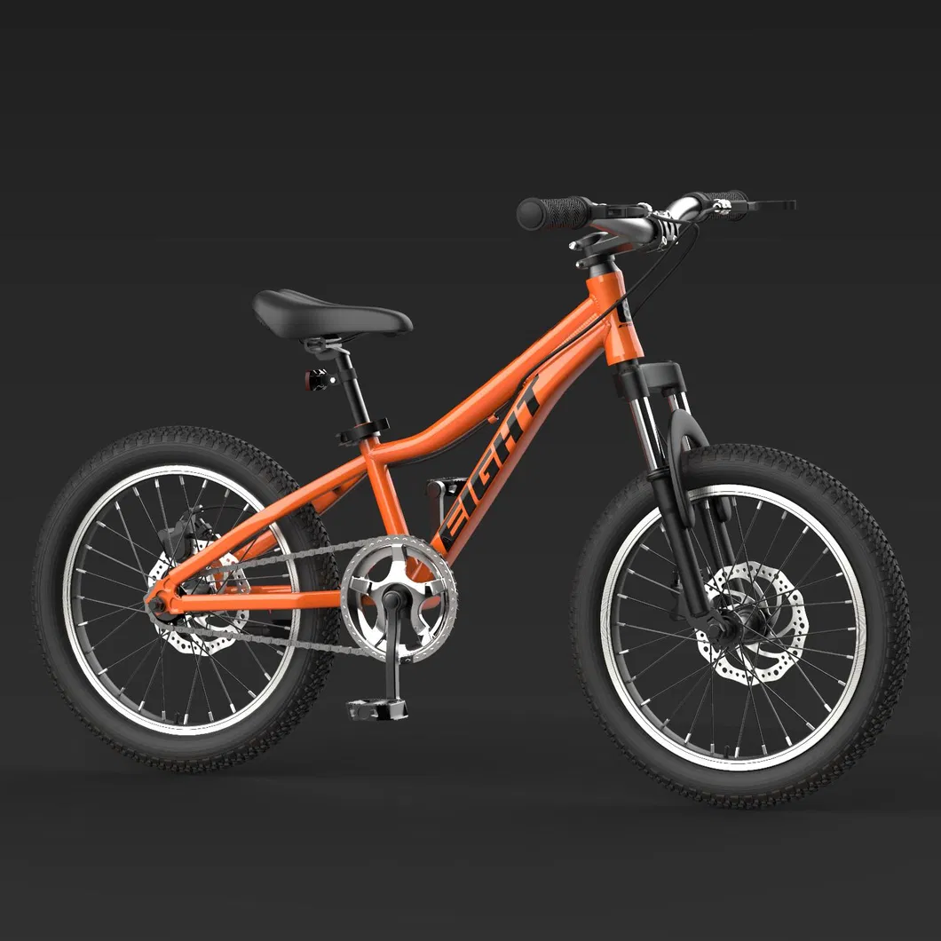 Children′s Bicycle 16/20 Inch Boy Bicycle 3-10 Years Old, Big Boy and Girl, Lightweight and Ultra-Light New Stunt Bike