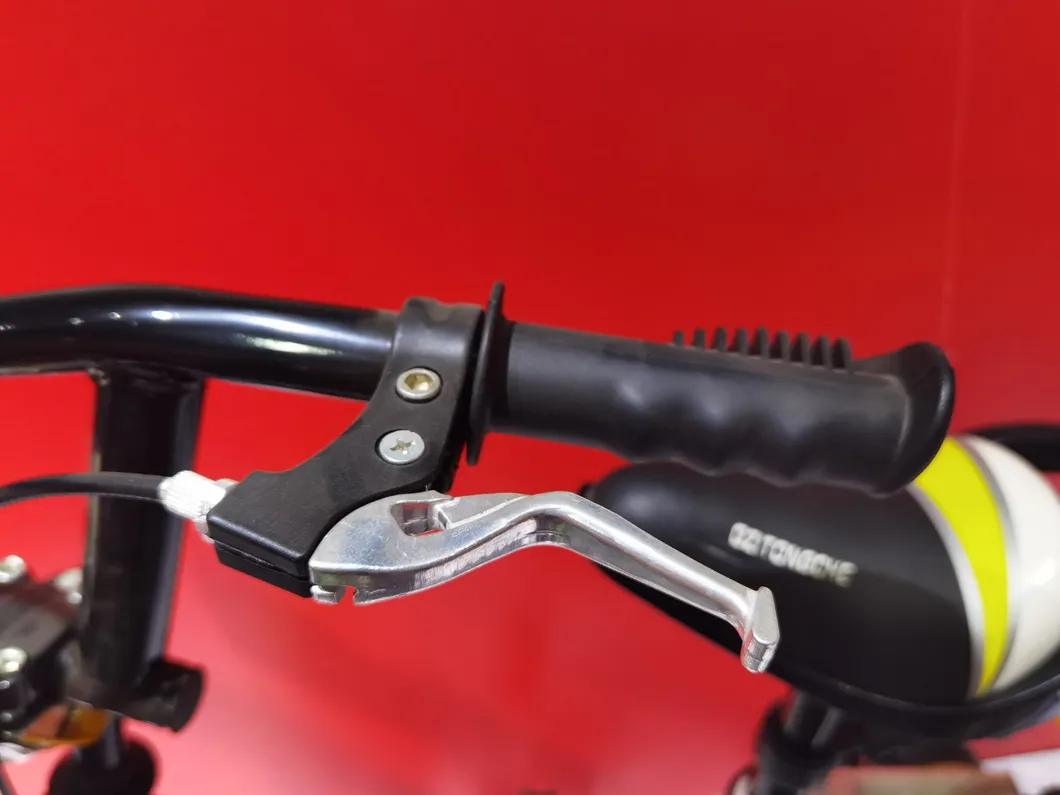 China Factory Children Bicycle for Boys and Girls