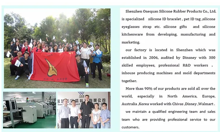 Dancing Cactus, Singing Cactus Toy with Mimicking Cactus Plush Electric Toys, Recording Repeating and Follow You Speak USB Rechargeable