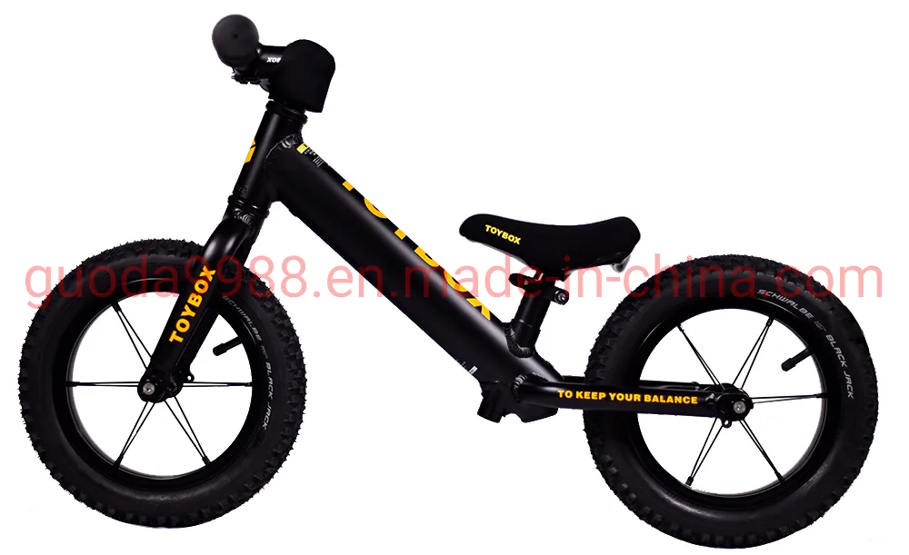Early Learning Mini Metal Kids Balance Bike