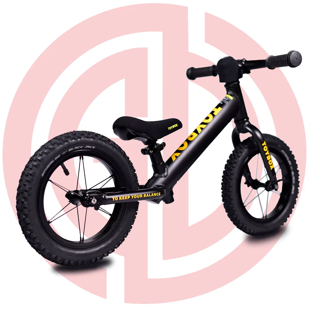 Early Learning Mini Metal Kids Balance Bike