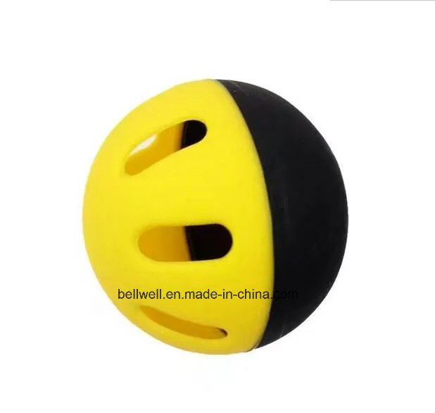 Exercise Ball Pickleball for Children