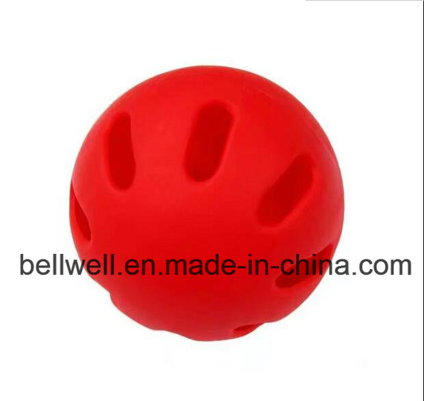 Exercise Ball Pickleball for Children