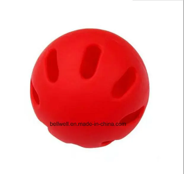Exercise Ball Pickleball for Children