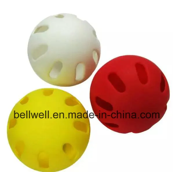 Exercise Ball Pickleball for Children