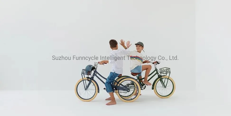 Wholesale Junior Bike New Original 10 Years Old 24 Inch Dutch Style Bicycle with Factory Prices