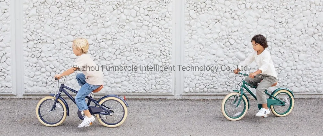 Wholesale Junior Bike New Original 10 Years Old 24 Inch Dutch Style Bicycle with Factory Prices