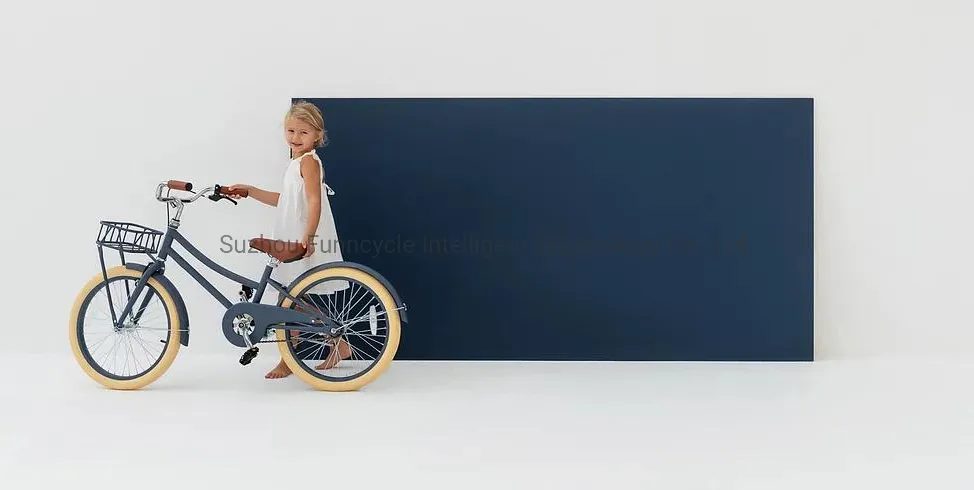 Wholesale Junior Bike New Original 10 Years Old 24 Inch Dutch Style Bicycle with Factory Prices