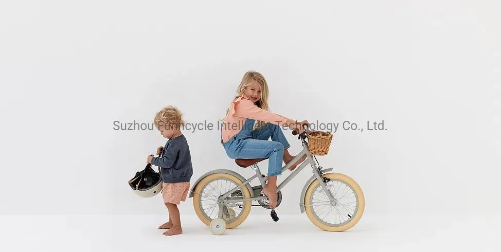Wholesale Junior Bike New Original 10 Years Old 24 Inch Dutch Style Bicycle with Factory Prices